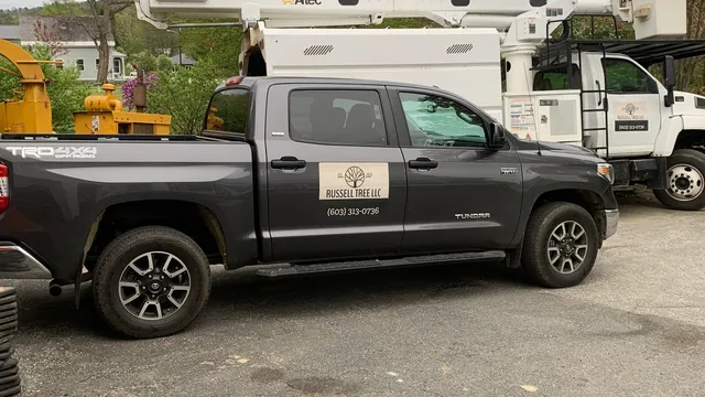 Russell Tree llc work photo