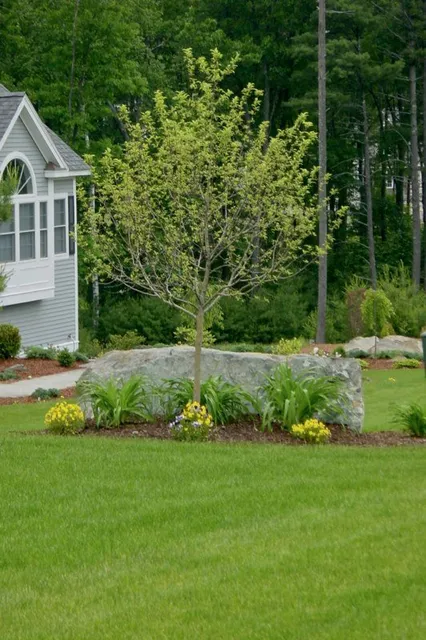 Santos Landscaping, Paving, Excavation work photo