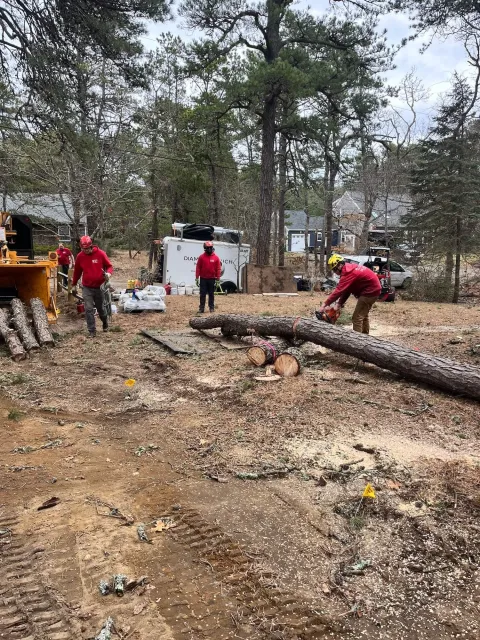 Workers in red safety gear and helmets cutting a fallen tree on a construction or cleanup site in a wooded residential area.