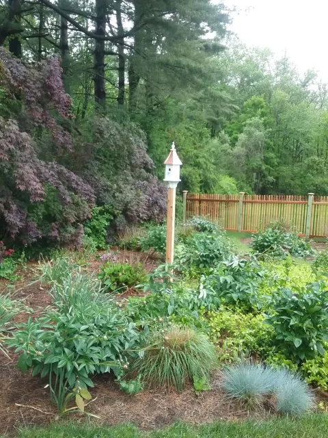 A birdhouse is sitting in the middle of a garden surrounded by trees.