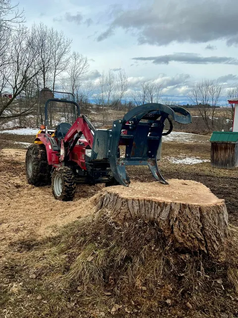 Jon's Tree Service, LLC, Vermont work photo