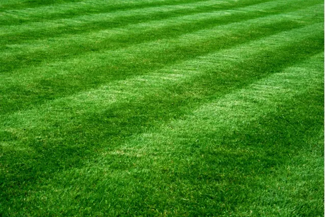 work photo from pittsfieldlawncare.com