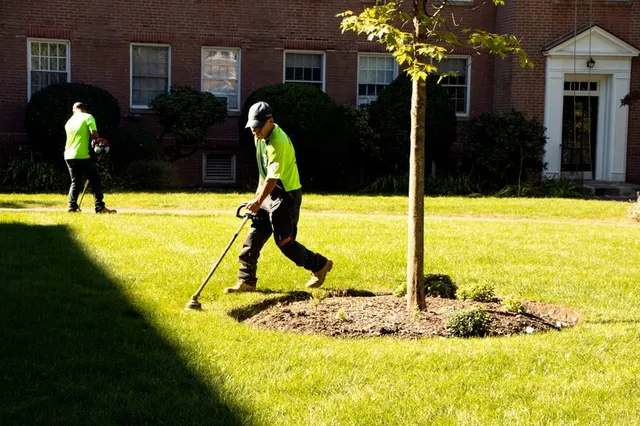 work photo from pathfindertreeservice.com