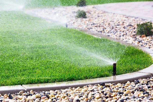 irrigation.jpg