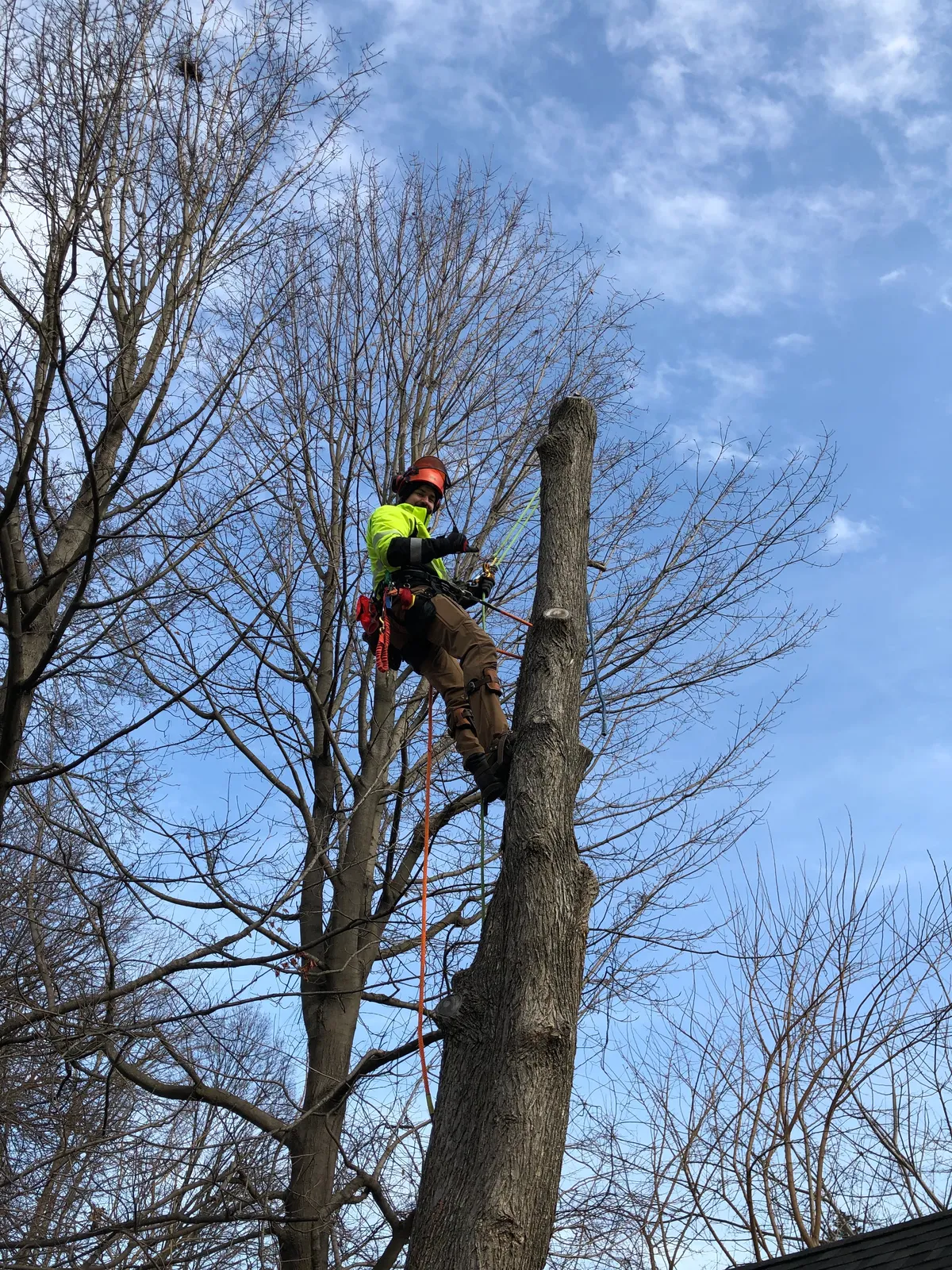 work photo from Google listing