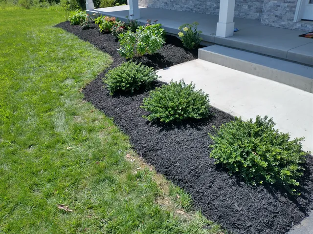 Dragonfly Lawn & Landscape work photo