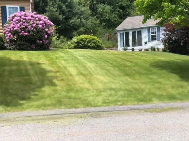 Demarco Landscaping work photo