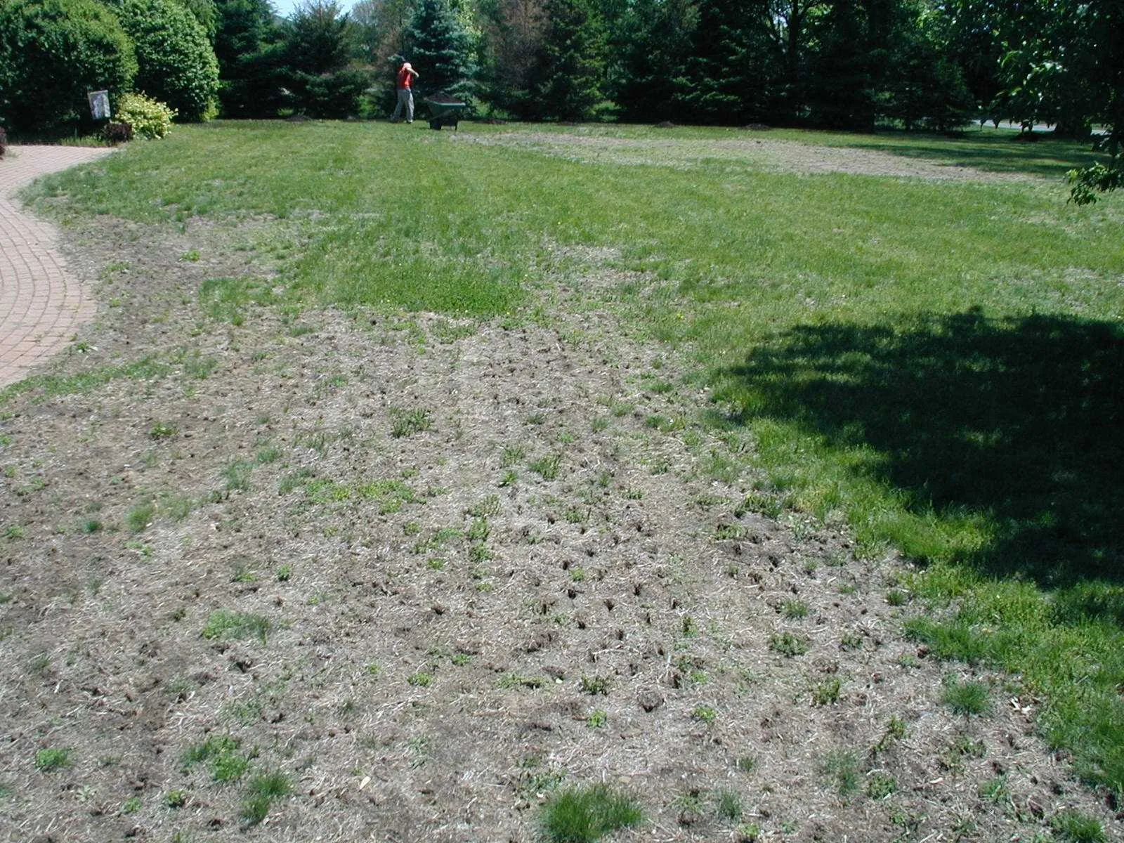 Pioneer Valley Organics Landscaping
