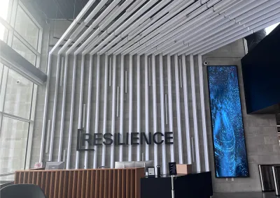 Resilience