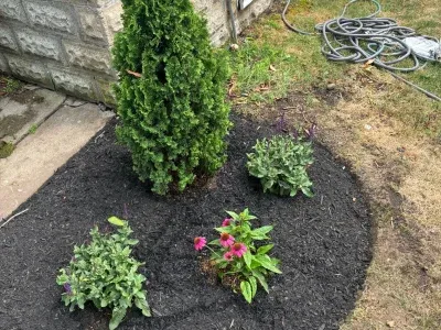 Mulch 10