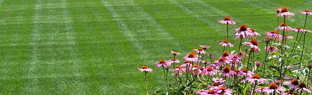 work photo from greenpenguinlandscaping.com