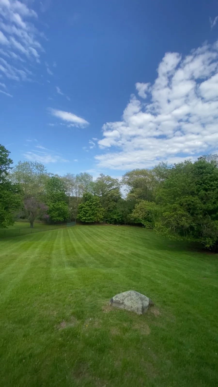 Lush mowed lawn with tree line