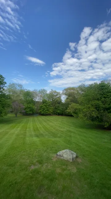 Lush mowed lawn with tree line
