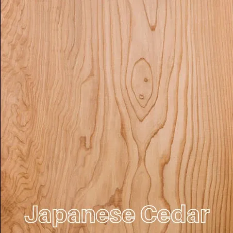 japanese cedar