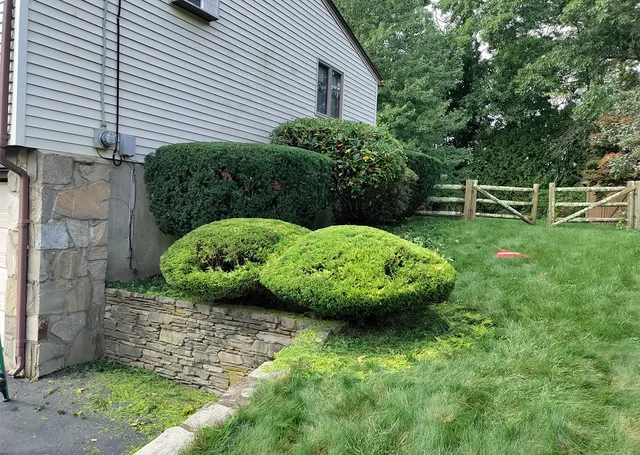 work photo from douggreenwoodlandscaping.com