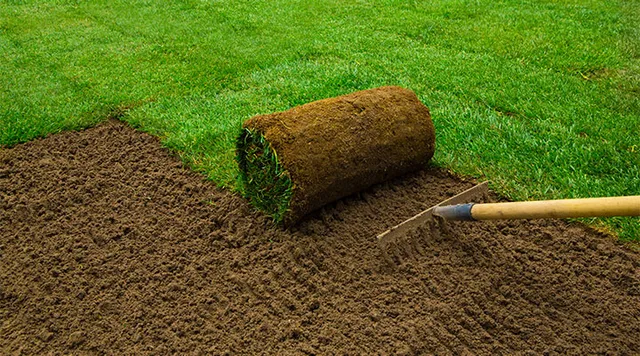Lawn Installation, Seed & Sod