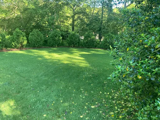 King & Queen Landscaping Llc work photo