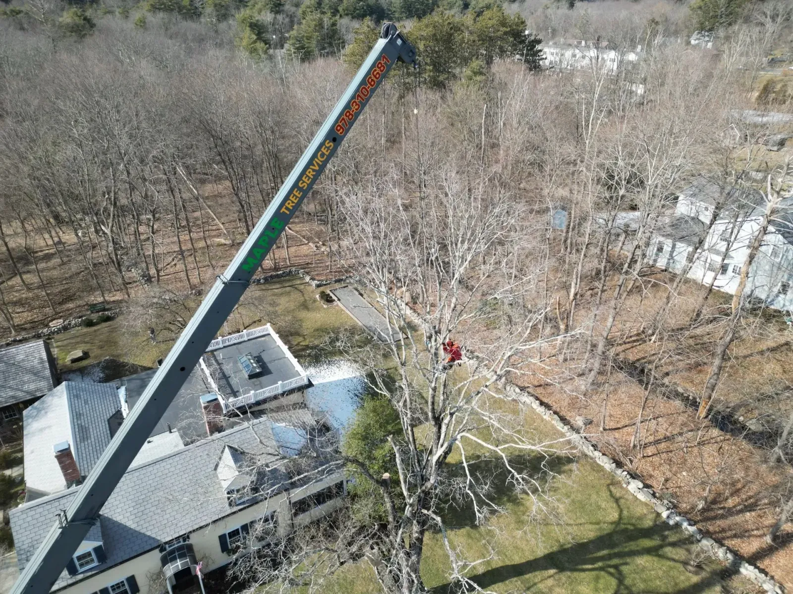 work photo from mapletreeservices.net