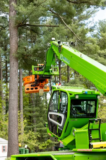 work photo from dlandgtree.com