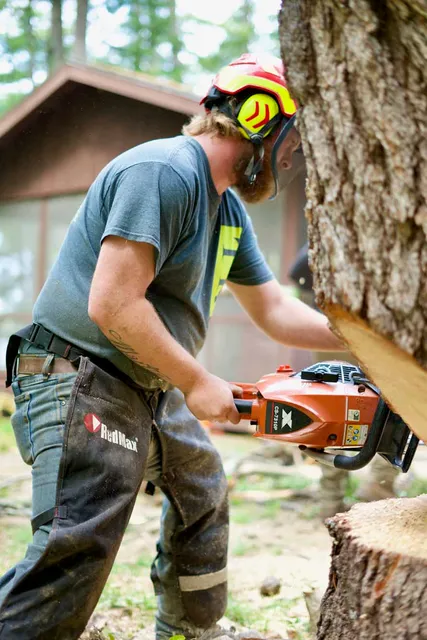 work photo from gardnertreeme.com