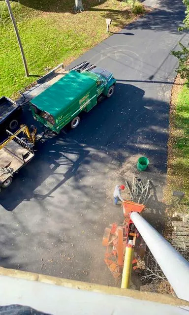 work photo from rttreeremoval.com