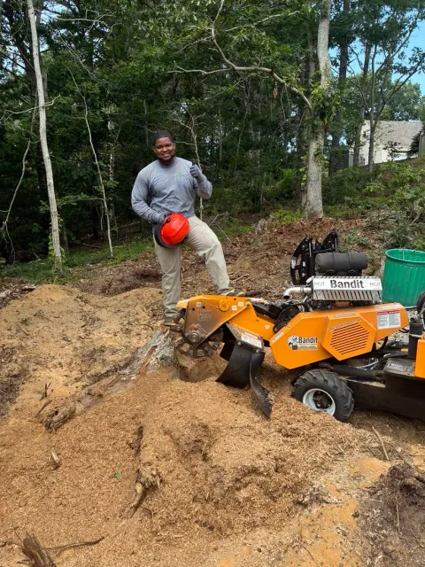 Cape Stump Grinding owner on a local stump grinding job