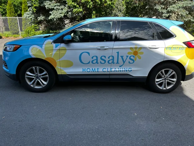 Casalys Home Cleaning work photo