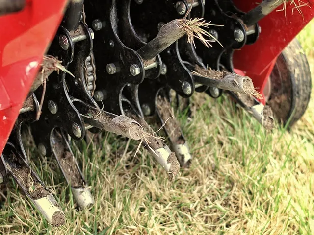 work photo from turfproslawncare.com