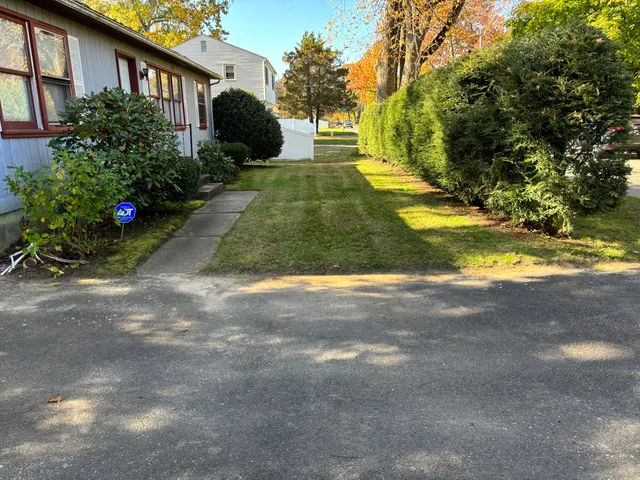 Bz lawn mowing care work photo