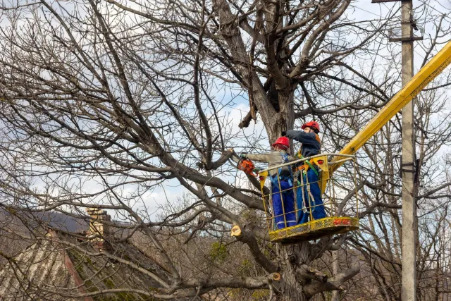 work photo from northgreenylandscaping.com