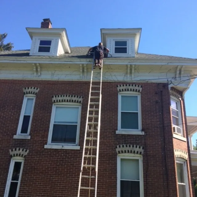 Animal Control of New England researched project photo