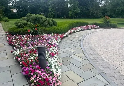 annual flower display