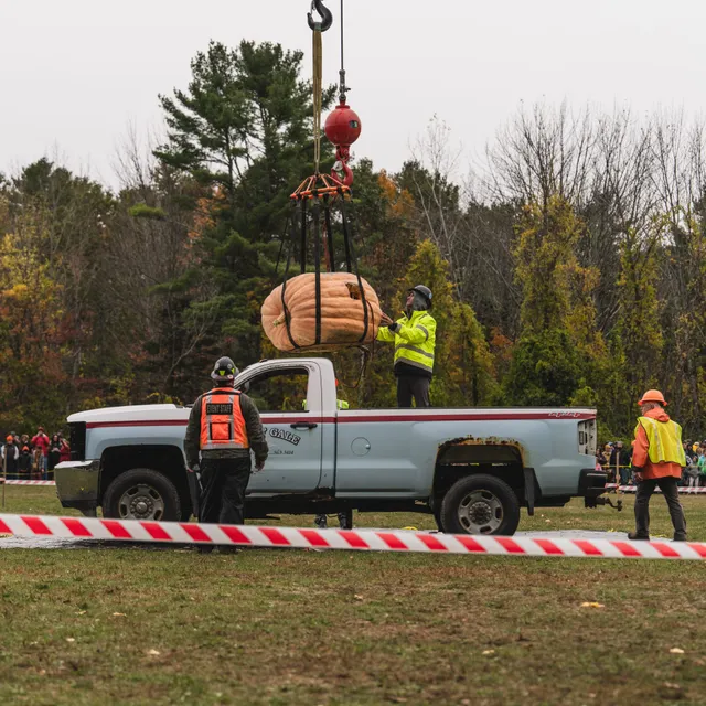 Damariscotta Pumpkinfest workers using a crane to hoist a giant pumpkin above a Colby & Gale service truck for the annual pumpkin drop.