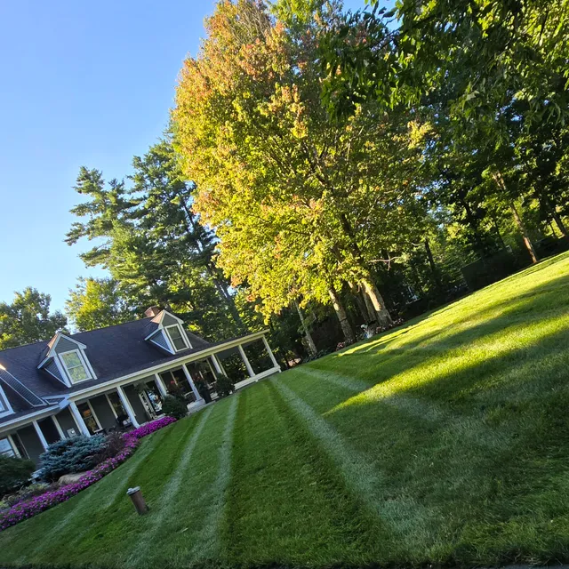 N & D Yard Services work photo