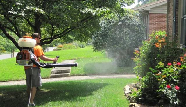 Williams Landscape work photo