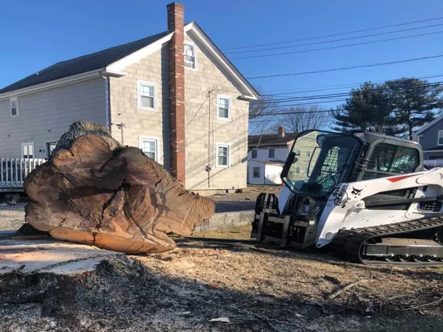 Commercial Tree Services