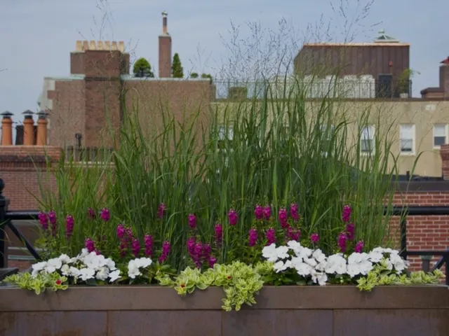 Perennial Gardens LLC researched project photo