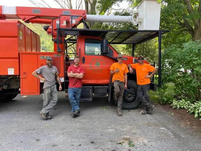 Sargent's Tree Service LLC work photo