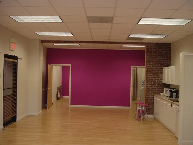 work photo from paintworksplus.com