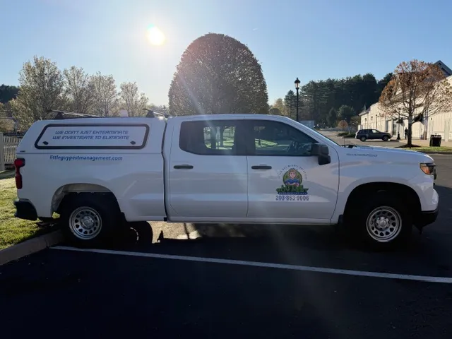 Little Guy Pest Management work photo