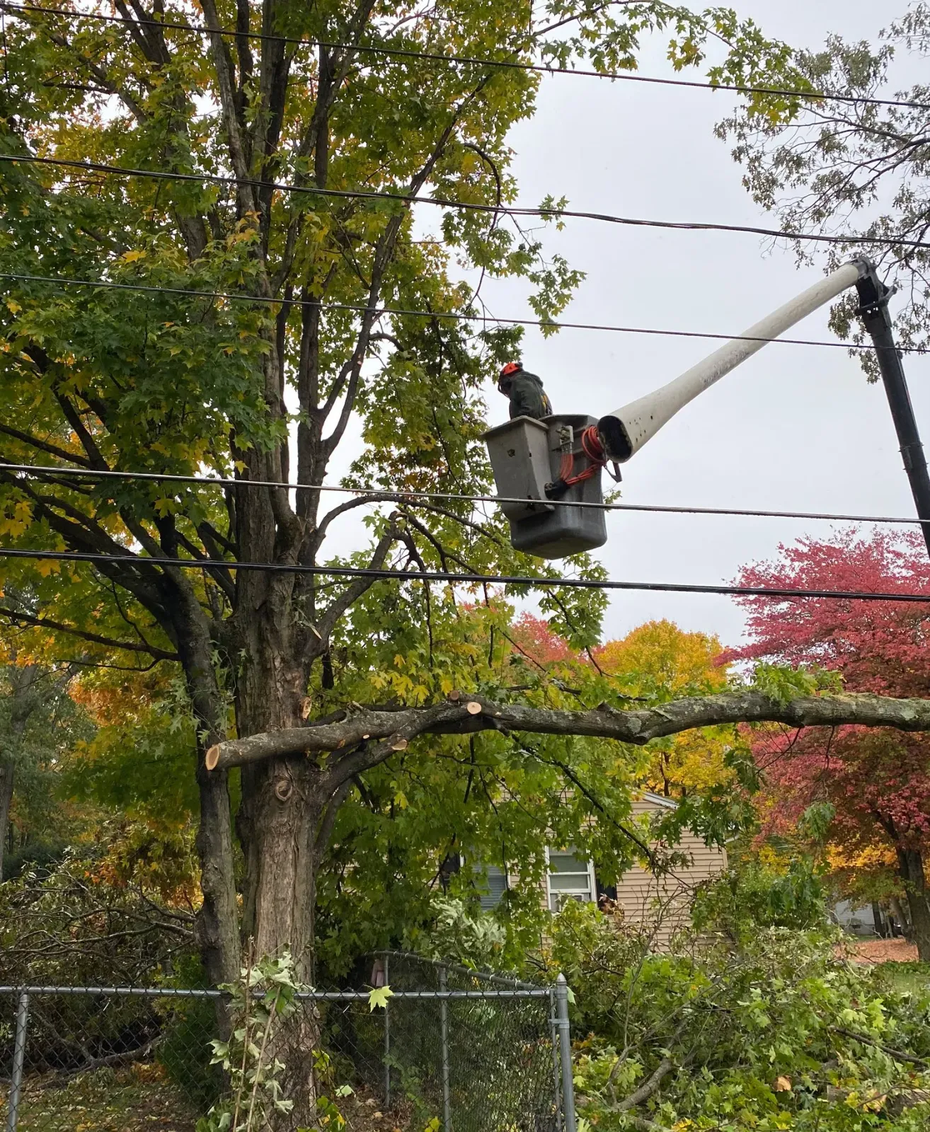 work photo from edgetreeservice.com