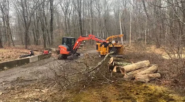 Valley Tree & Dirt Work LLC work photo