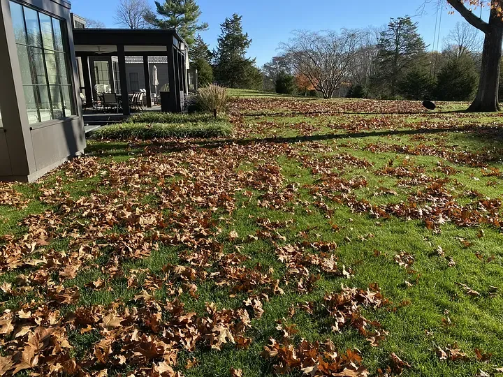GRAZE lawn & garden researched project photo