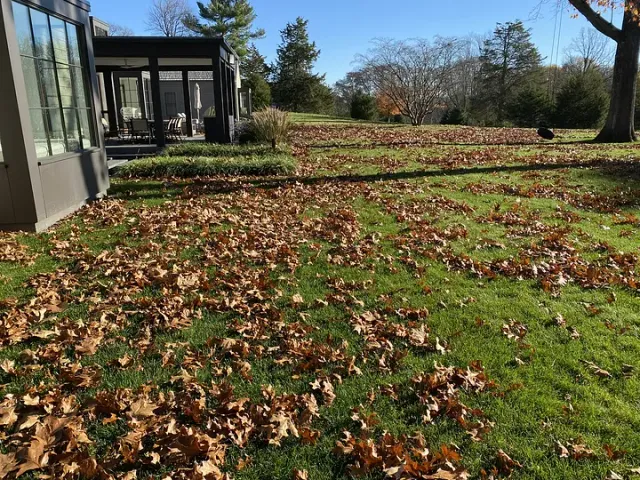 GRAZE lawn & garden researched project photo