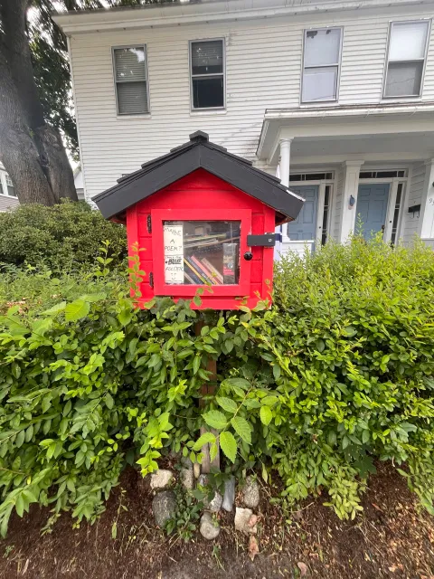 Shrubs hedge trimming