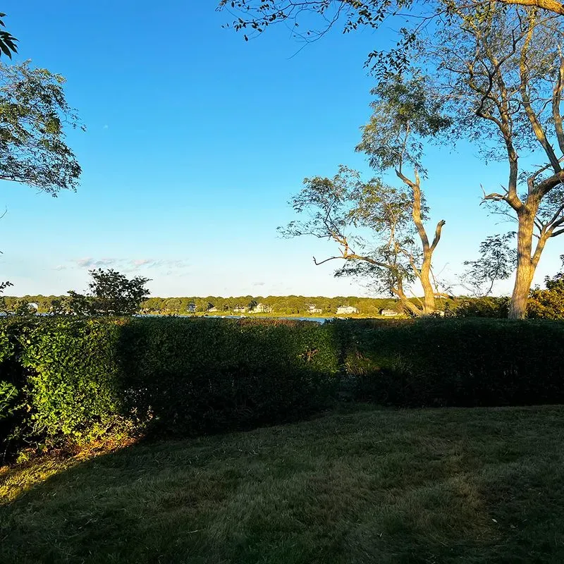 mowed lawn for lawn mowing service near me