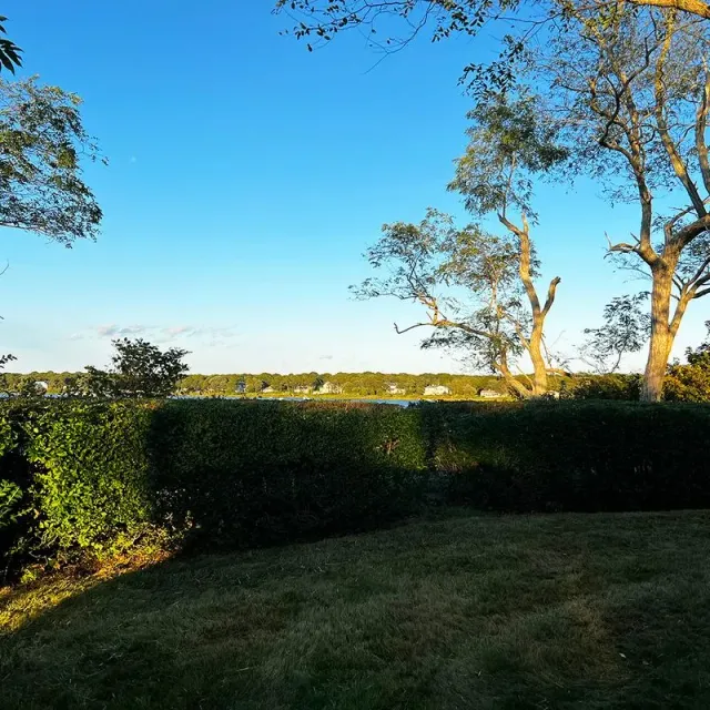 mowed lawn for lawn mowing service near me