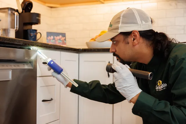 Graduate Pest Solutions Inc. work photo