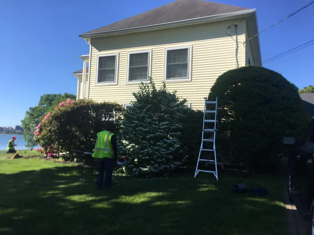 work photo from greeningreenouttreeservice.com