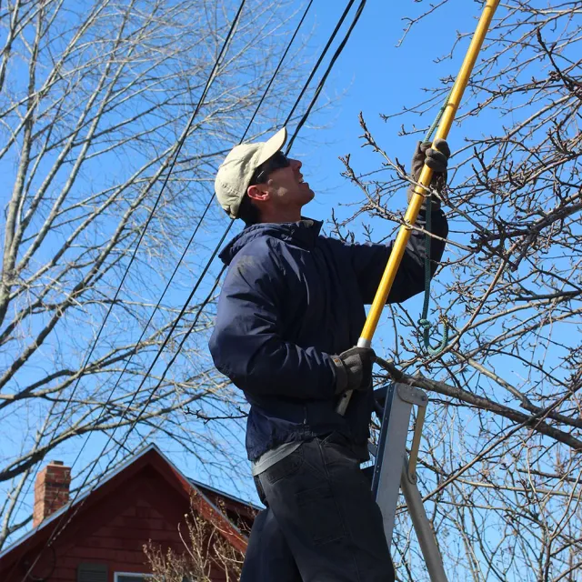 Tree Pruning